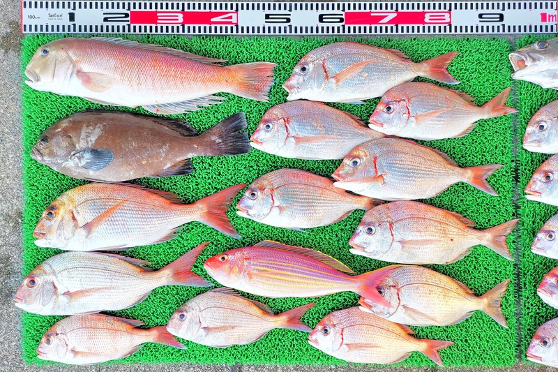 IMG_20251107_145545_edit_2324273352976064