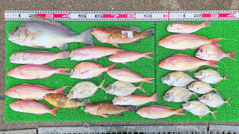 IMG_20250112_162101_edit_52289710084207