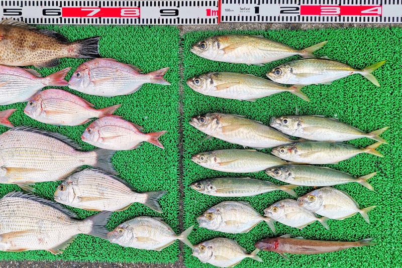 IMG_20251113_145219_edit_2433409301710974