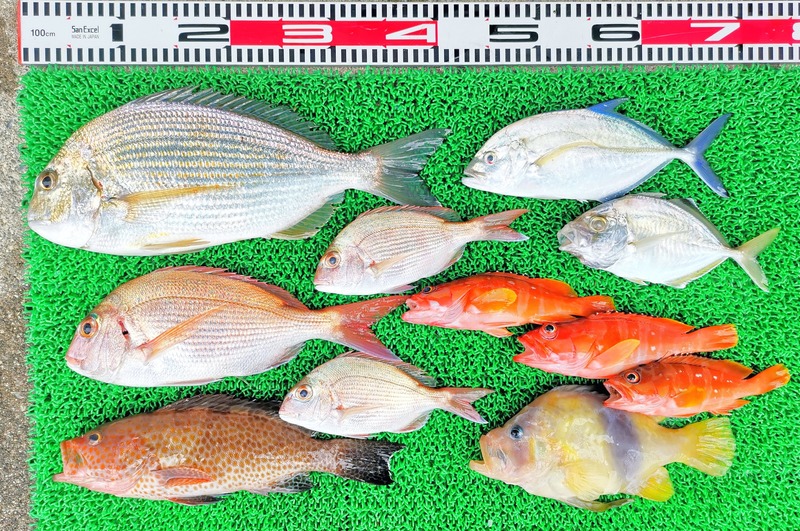 IMG_20251117_145704_edit_2521720015411561