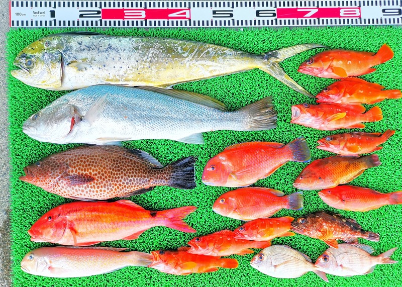 IMG_20251107_153627_edit_2324387726591151