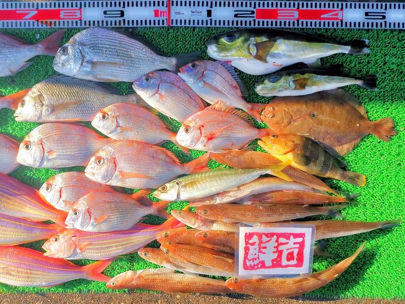 IMG_20211114_151508_edit_1060149844076773