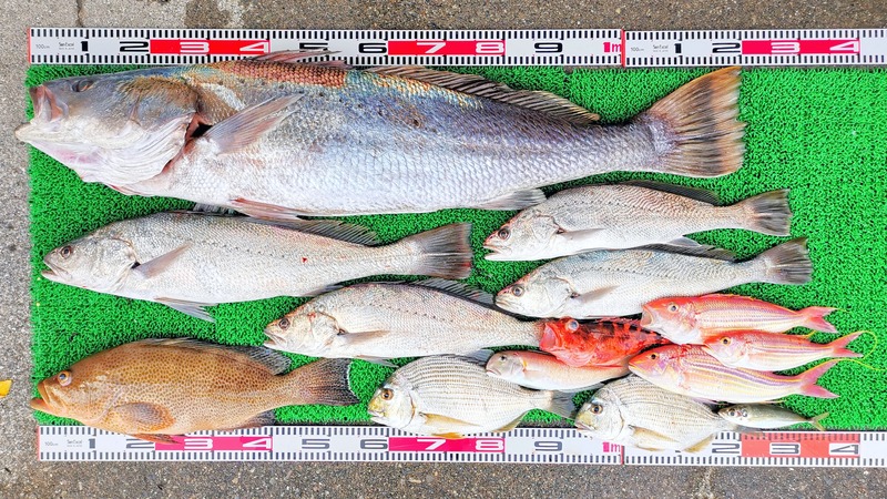 IMG_20251124_162309_edit_2675593355003186