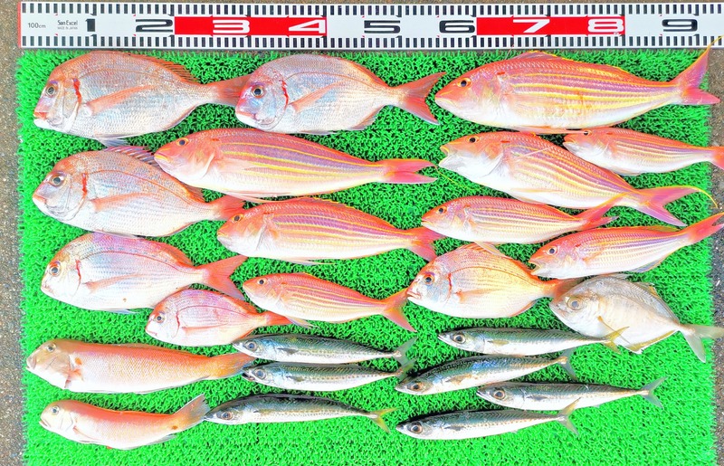 IMG_20251122_141432_edit_2629021203516021