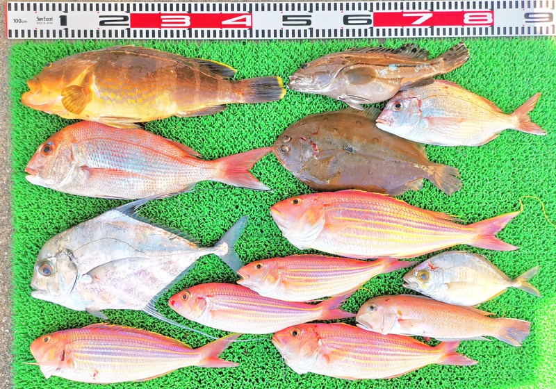 IMG_20251123_135043_edit_2652176831431759