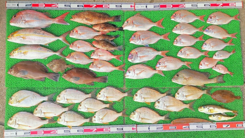 IMG_20251201_140626_edit_2823434391750939