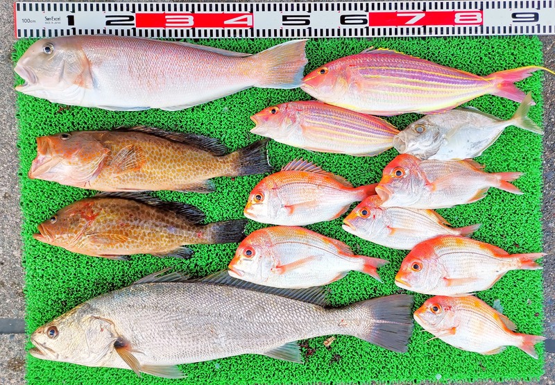 IMG_20241230_161610_edit_602939756932471