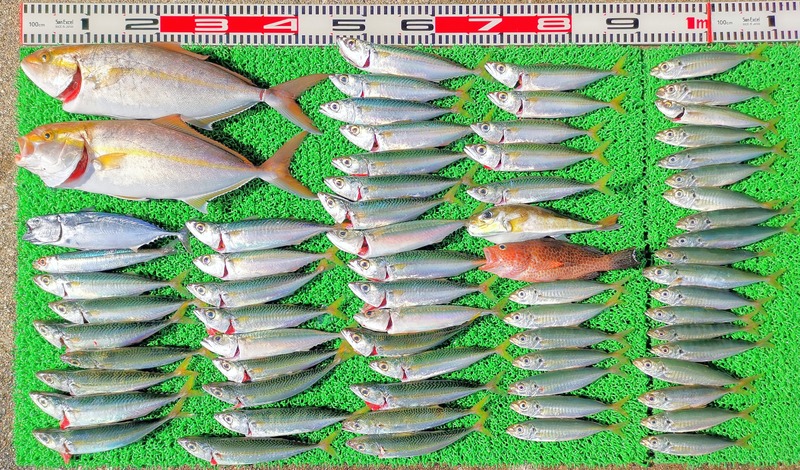 IMG_20231026_140111_edit_804082683583028