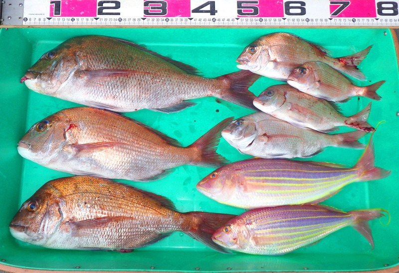 IMGP5544