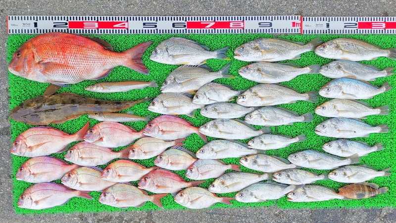 IMG_20220725_162101_edit_924665725506822