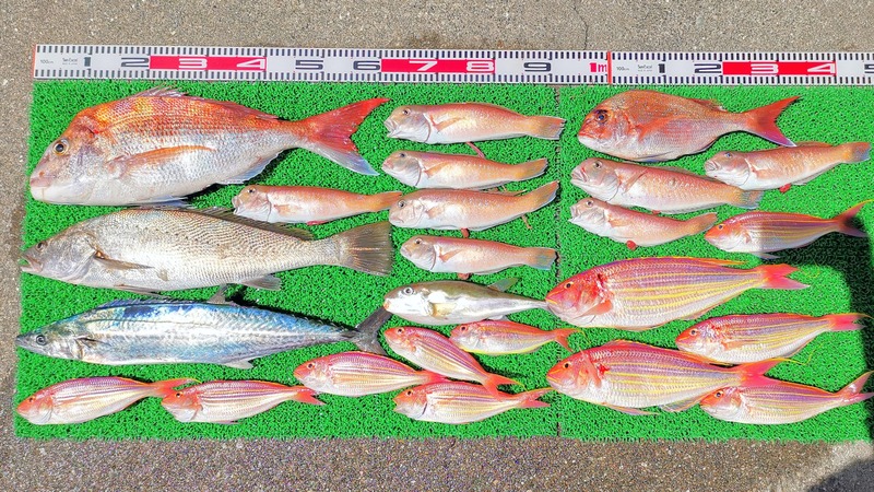 IMG_20230416_123330_edit_130071440070776