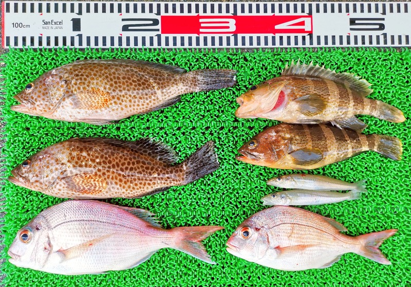 IMG_20240802_142746_edit_946666225329505