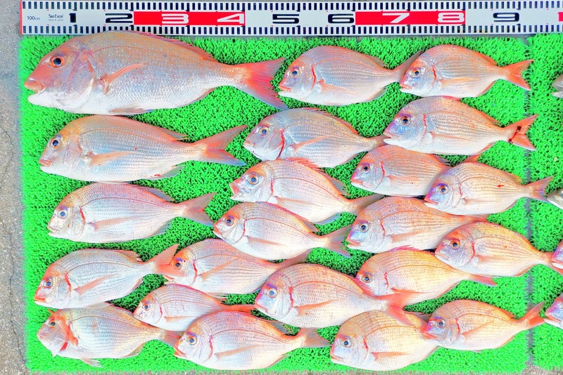 IMG_20251115_150211_edit_2482428993660786