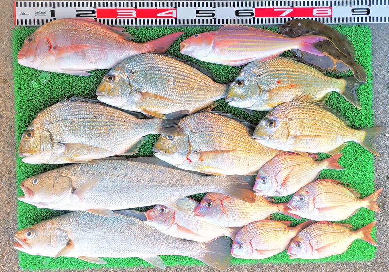 IMG_20251130_143911_edit_2802835009983770