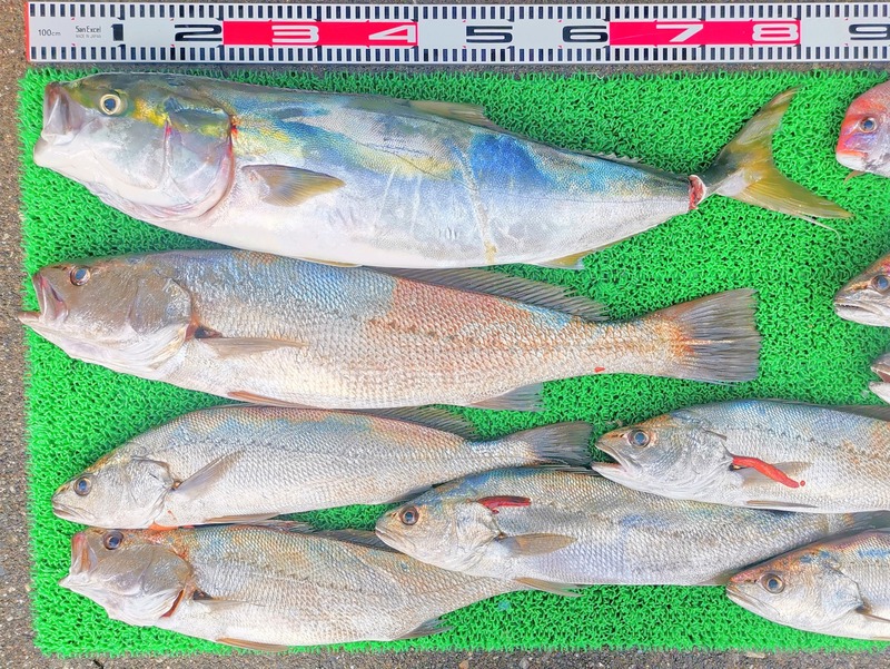 IMG_20251127_155319_edit_2735379860469584