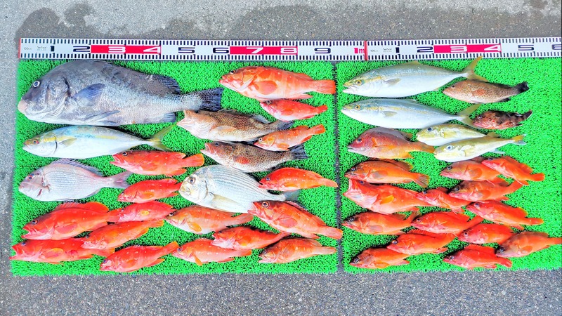 IMG_20251115_161905_edit_2482174768908220