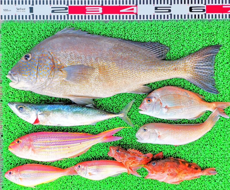 IMG_20220724_130831_edit_906568048300730