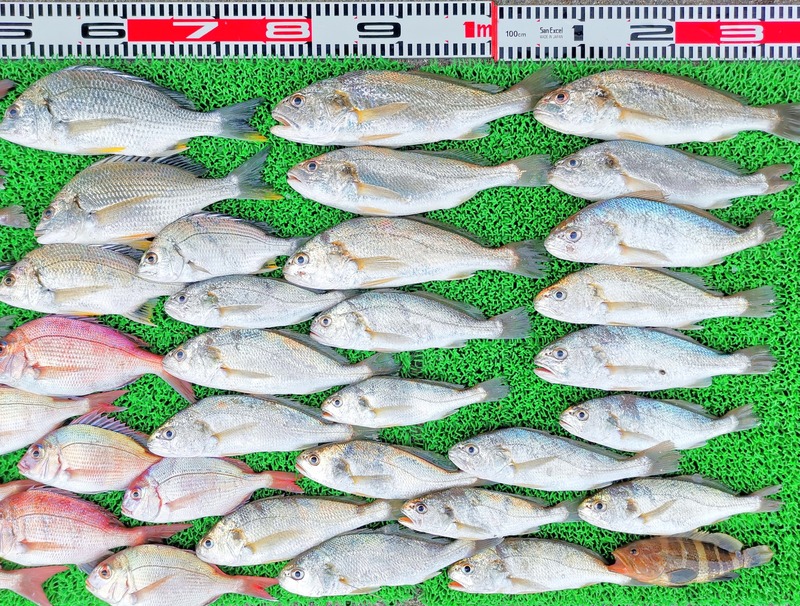 IMG_20220725_162116_edit_924761635931808