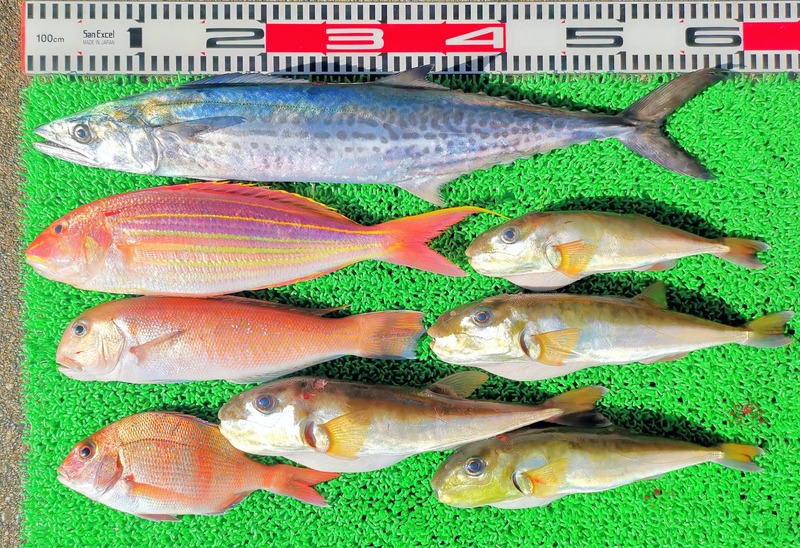 IMG_20250113_135429_edit_70471534602266