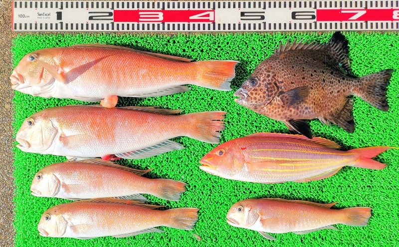 IMG_20250103_142355_edit_671267402689753