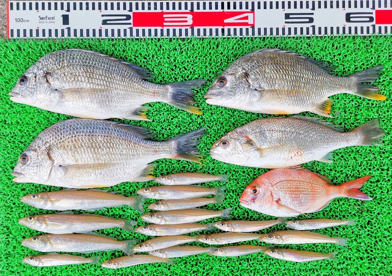 IMG_20220506_170443_edit_418327414313767