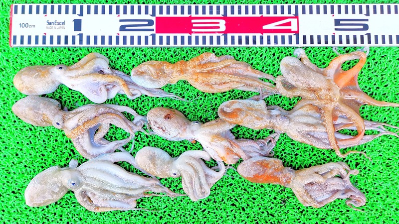 IMG_20220723_173623_edit_873376272178190