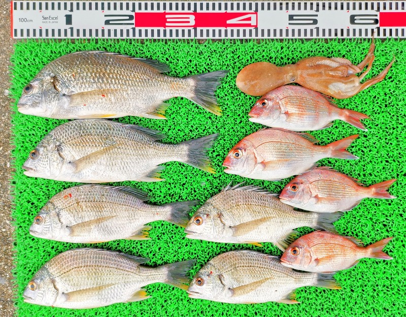 IMG_20220711_164043_edit_564348356912844