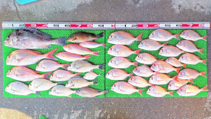 IMG_20251114_150227_edit_2458200388248858