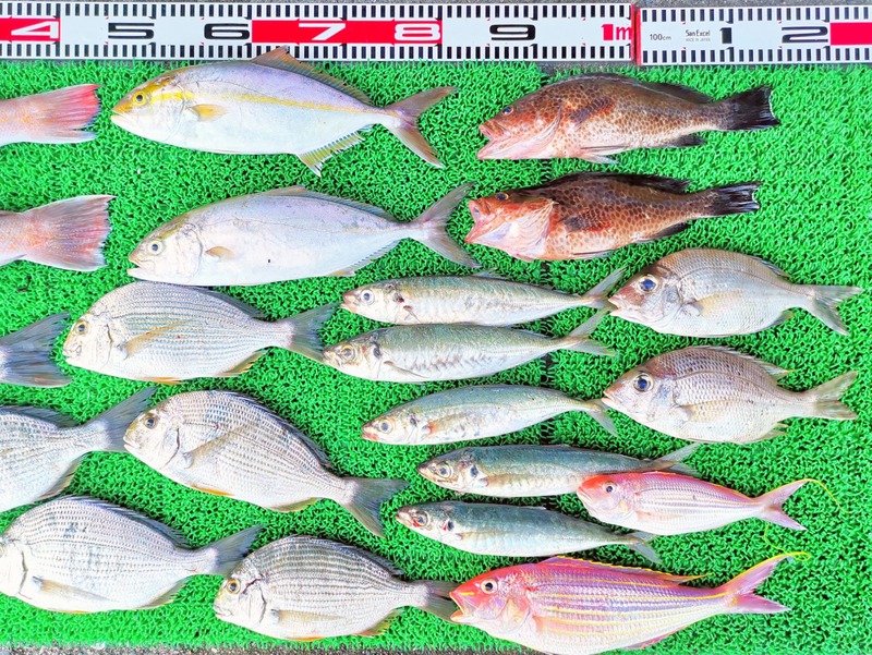 IMG_20251013_163744_edit_1787728859430852