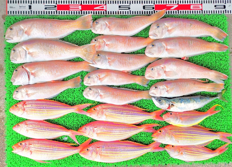 IMG_20220702_131535_edit_350073266693978