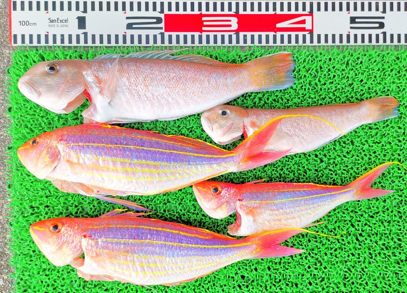 IMG_20220713_135538_edit_617554872442225