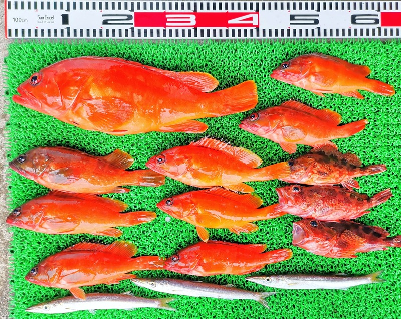 IMG_20220716_121405_edit_695575954551675