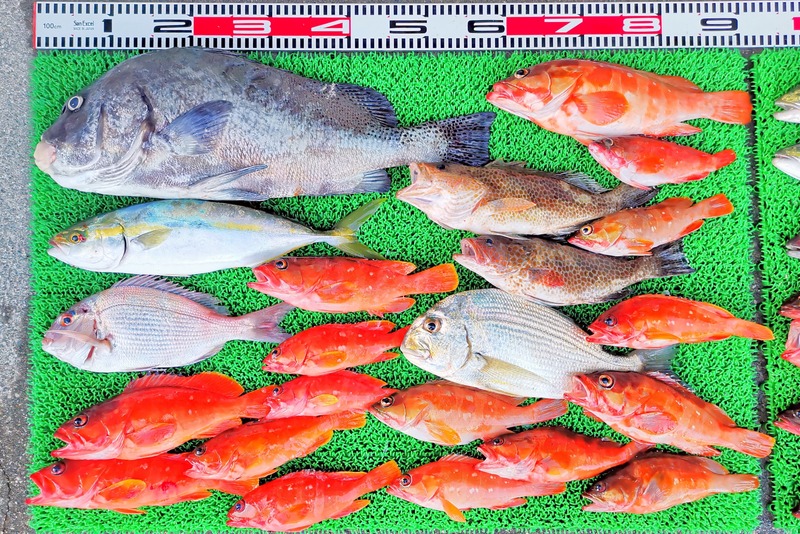 IMG_20251115_161911_edit_2482265158649873