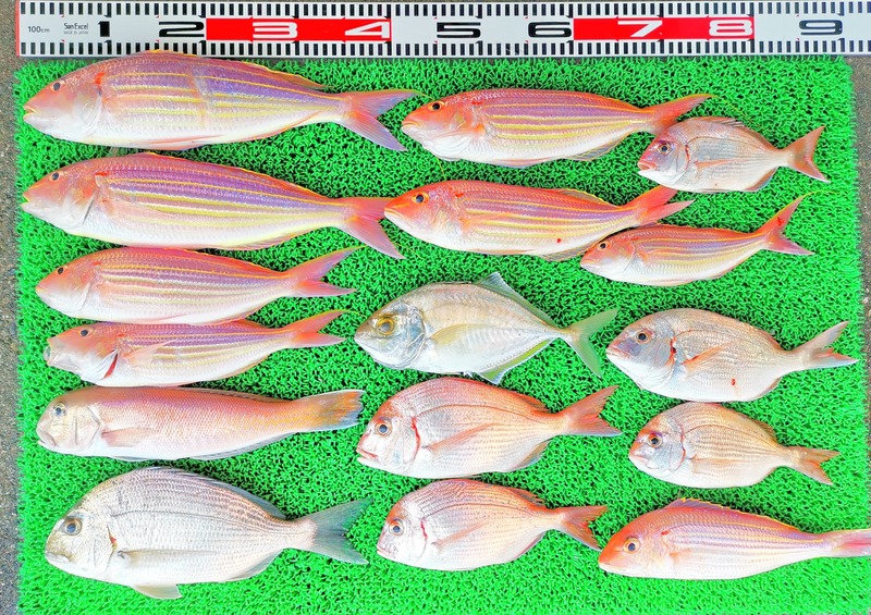 IMG_20251101_133752_edit_2197791561832864