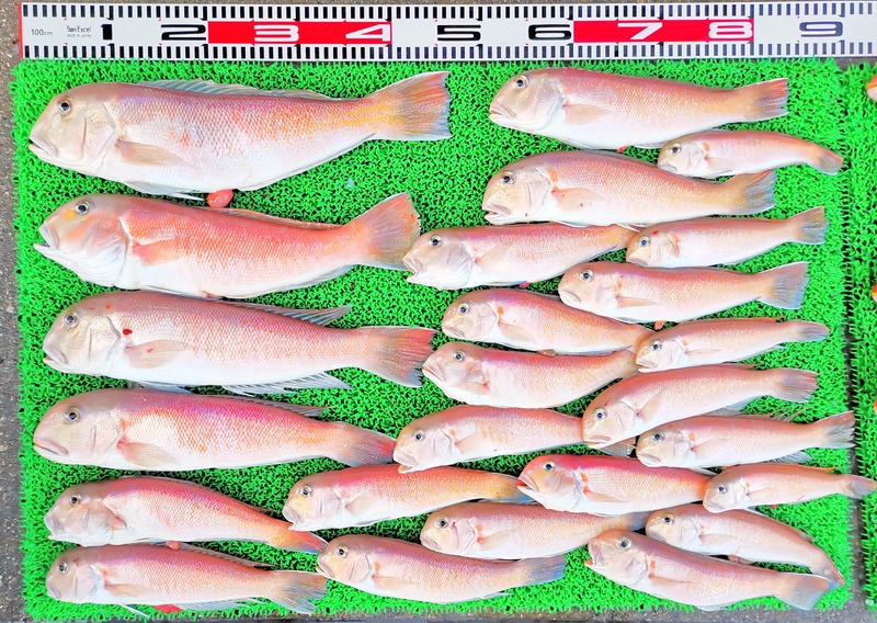 IMG_20241230_163816_edit_603069349483492