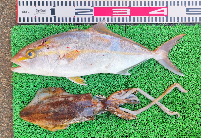 IMG_20251129_153022_edit_2783852535479896