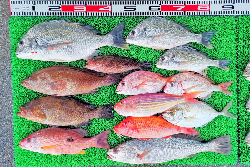 IMG_20251122_165928_edit_2629952412348692