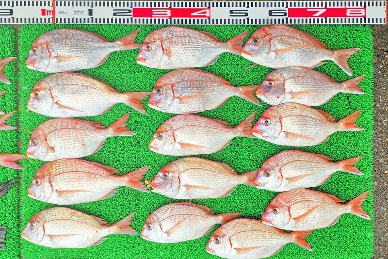 IMG_20251112_155625_edit_2414816236022665