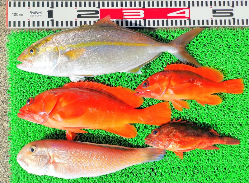 IMG_20250103_132740_edit_670825358838779