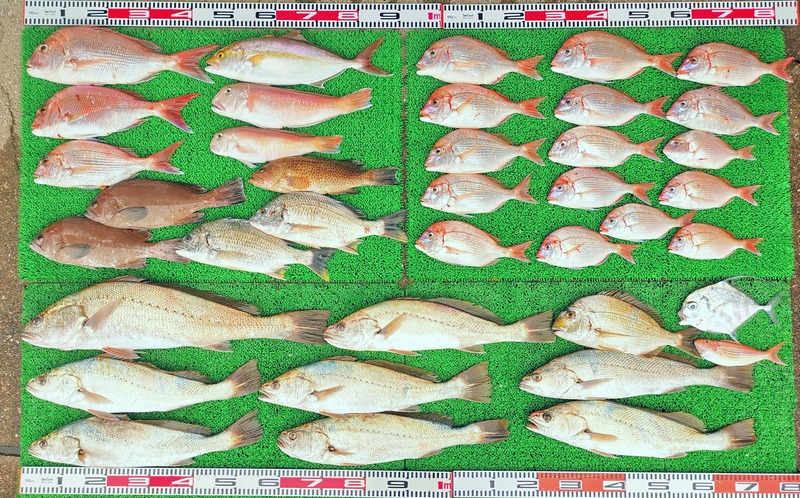 IMG_20251112_151455_edit_2414279322270143