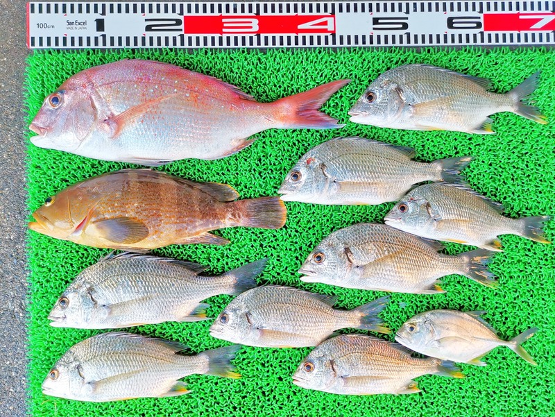 IMG_20251005_142000_edit_1604268933017700