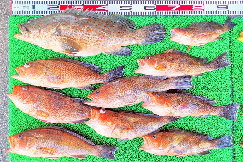 IMG_20260819_175448_edit_1811602123248564