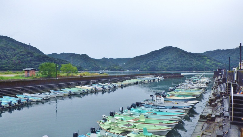 IMGP0051