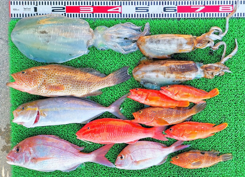 IMG_20251110_133837_edit_2377117732410709