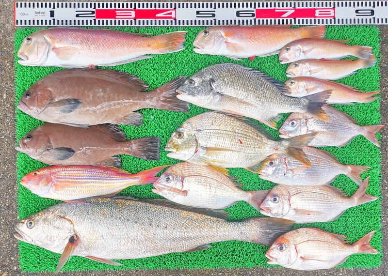 IMG_20251127_154055_edit_2735189502768571