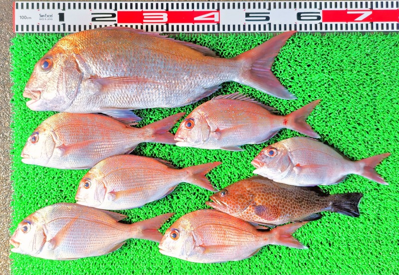 IMG_20251026_142231_edit_2070181080815878