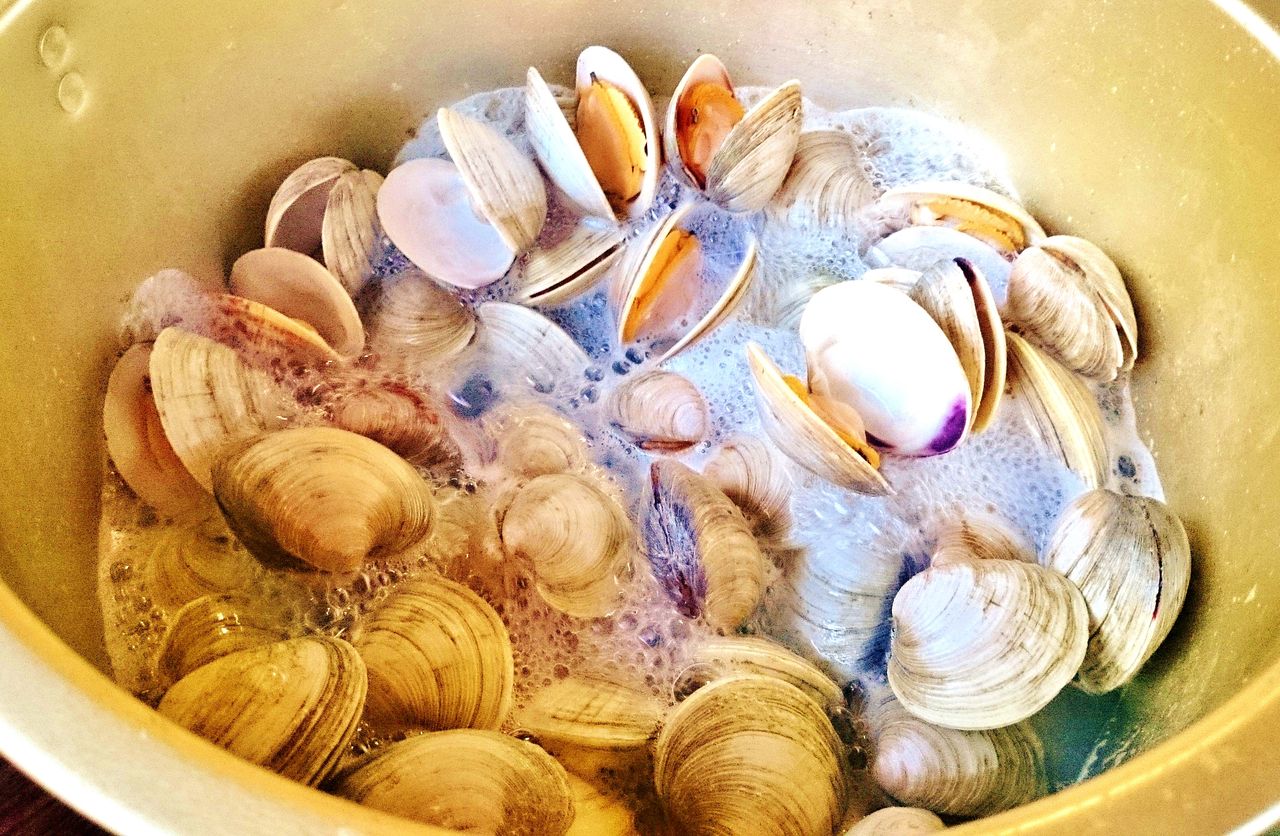 海上で影を作るテント付き船 パラソル付きも大人気 竹村貸舟店 高知県 浦ノ内湾 宇佐 須崎市横浪半島沖の船釣り 釣果情報 ブログ