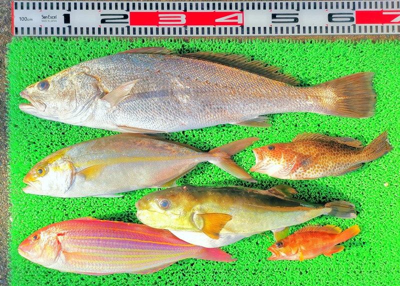 IMG_20241229_151502_edit_573954809260332