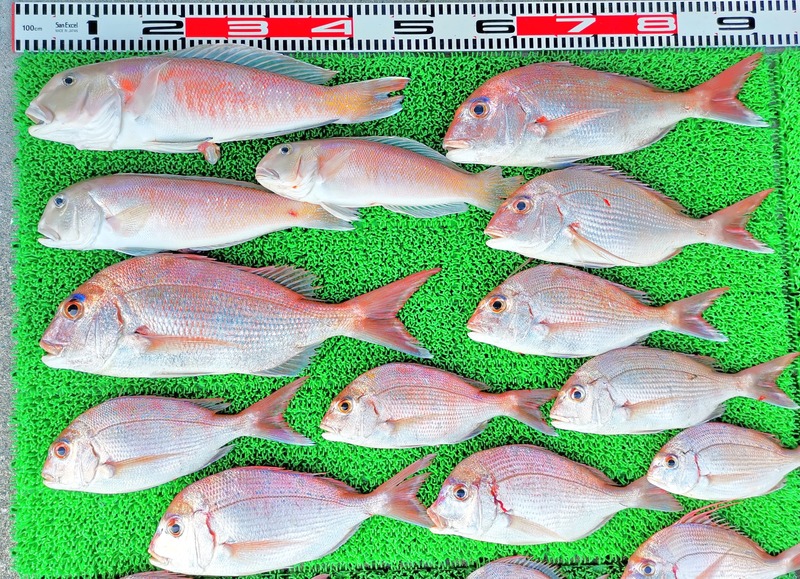 IMG_20241112_154443_edit_87198082439298