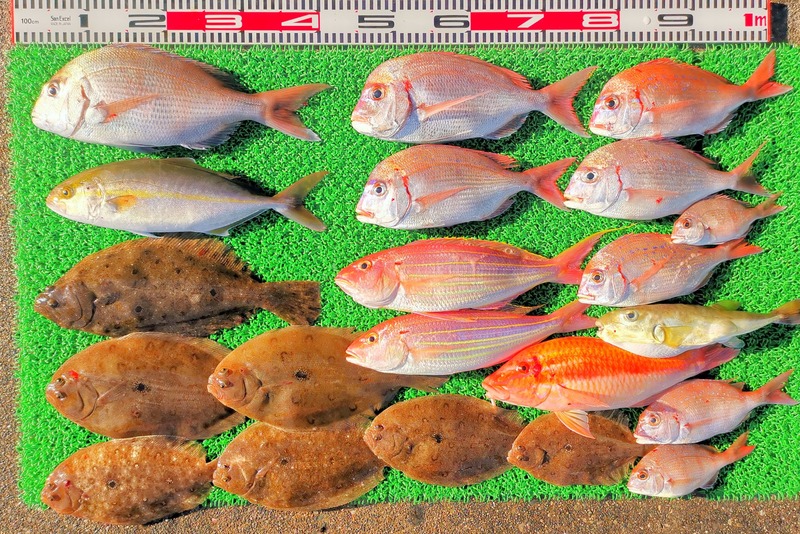 IMG_20211114_150251_edit_1060011720345544